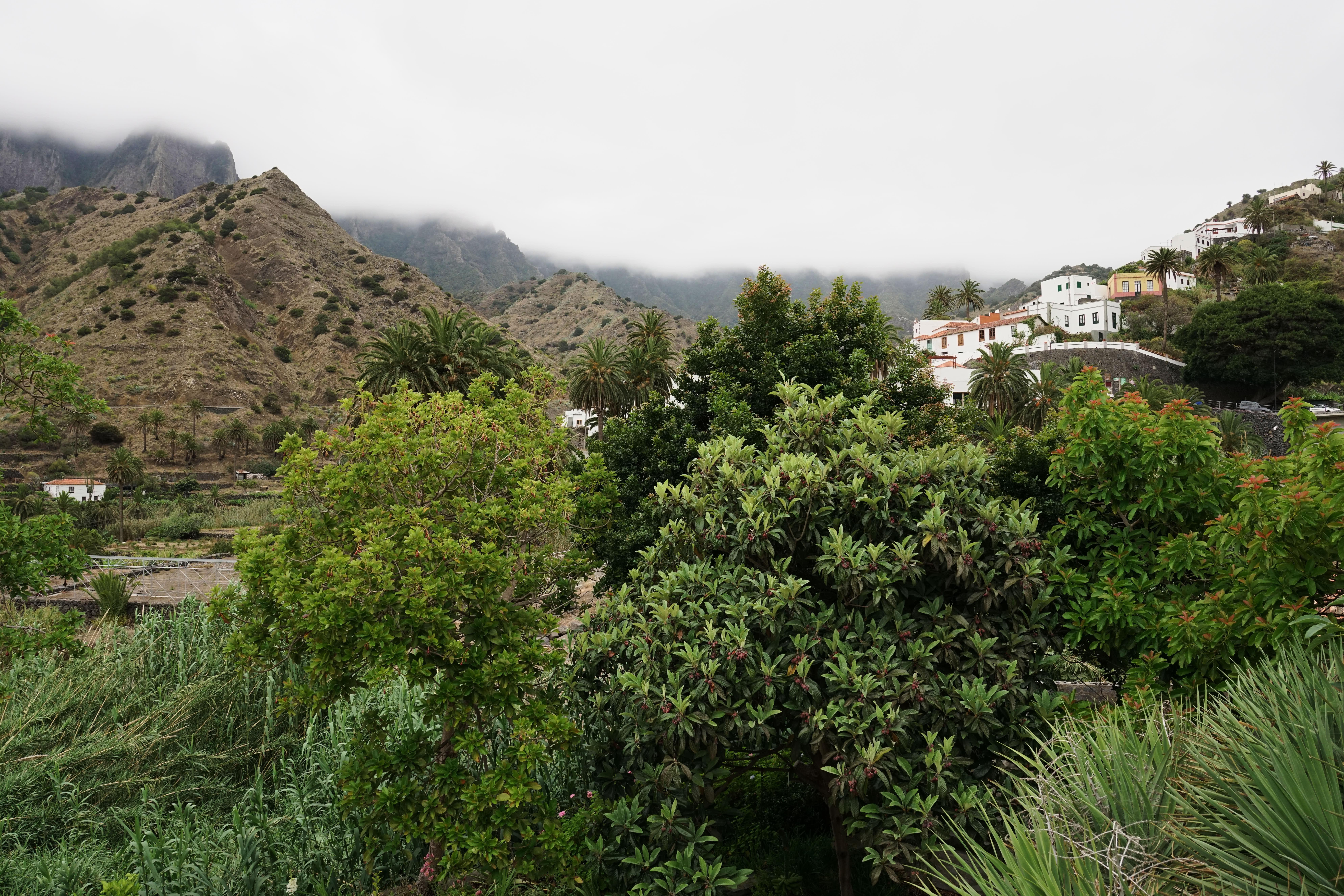 Finca Pinero Hermigua Εξωτερικό φωτογραφία