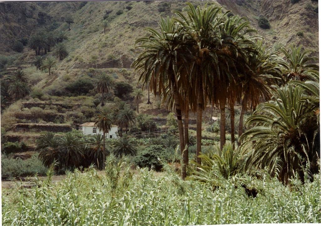 Finca Pinero Hermigua Εξωτερικό φωτογραφία